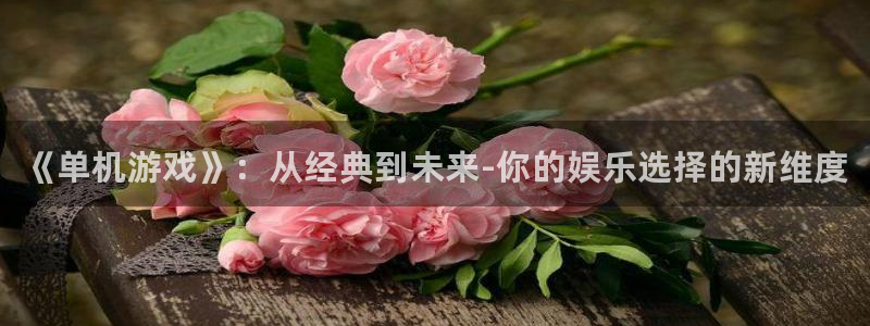 赢咖娱乐平台官网客服电话：《单机游戏》：从经典到未来-你的娱