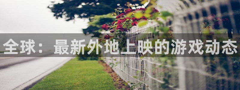 赢咖娱乐官方平台：全球：最新外地上映的游戏动态