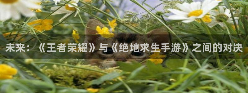 赢咖娱乐网址注册：未来：《王者荣耀》与《绝地求生手游》之间的