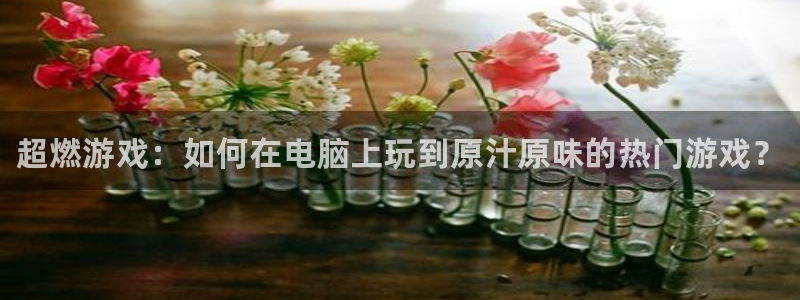赢咖娱乐注册官方登录app：超燃游戏：如何在电脑上玩到原汁原