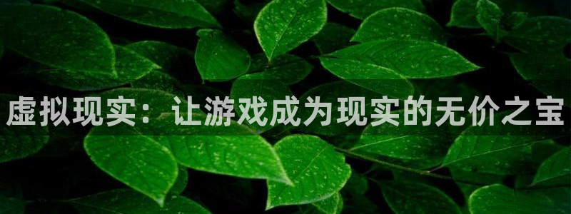 赢咖娱乐：虚拟现实：让游戏成为现实的无价之宝