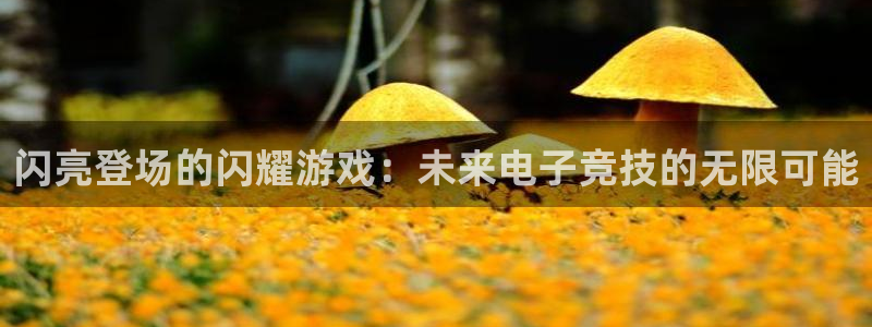 赢咖娱乐平台登录：闪亮登场的闪耀游戏：未来电子竞技的无限可能