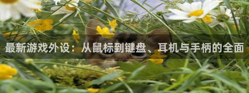 赢咖娱乐平台：最新游戏外设：从鼠标到键盘、耳机与手柄的全面