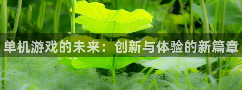 赢咖娱乐咨询：单机游戏的未来：创新与体验的新篇章