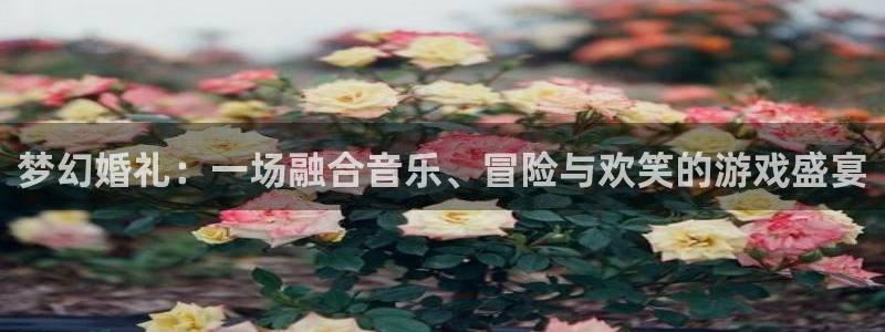 赢咖娱乐游戏：梦幻婚礼：一场融合音乐、冒险与欢笑的游戏盛宴