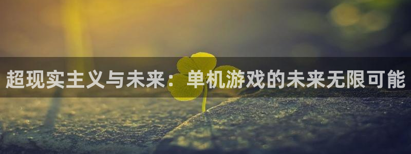 赢咖娱乐什么意思：超现实主义与未来：单机游戏的未来无限可能