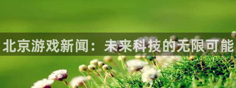 赢咖娱乐开户测速：北京游戏新闻：未来科技的无限可能