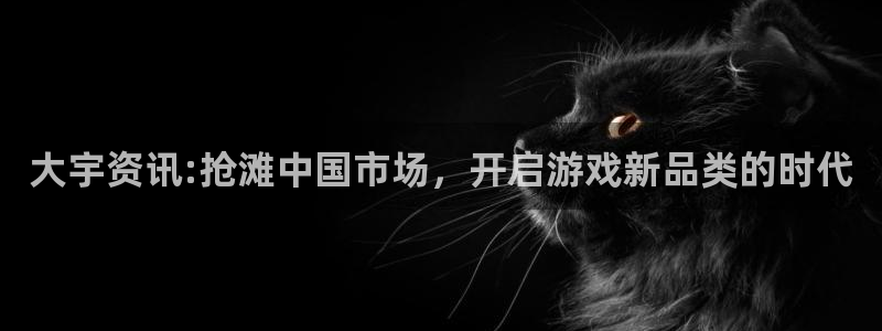 手机赢咖娱乐下载安装：大宇资讯:抢滩中国市场，开启游戏新品类