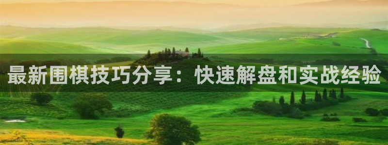 赢咖娱乐平台官网注册：最新围棋技巧分享：快速解盘和实战经验