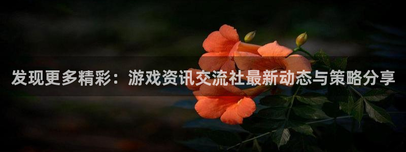 赢咖官方：发现更多精彩：游戏资讯交流社最新动态与策略分享