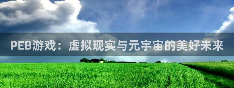 赢咖app官网最新版更新内容在哪：PEB游戏：虚拟现实与元宇