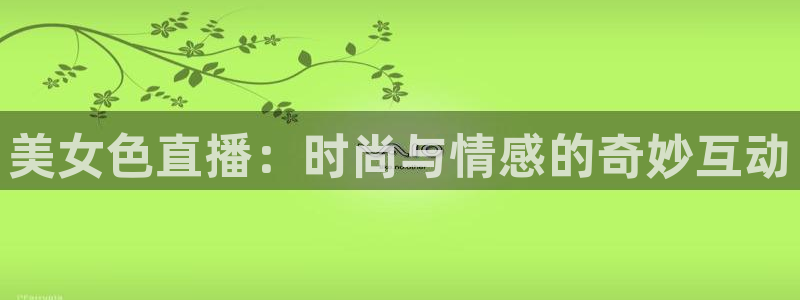 玩球直播app官网