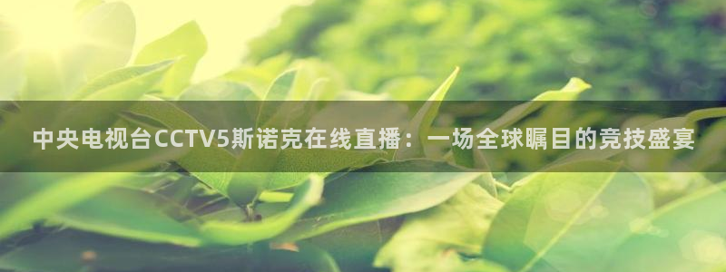 小罗玩球视频
