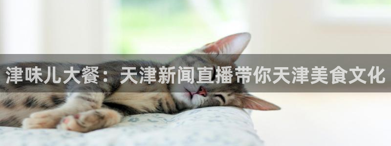 玩球直播app：津味儿大餐：天津新闻直播带你天津美食文化