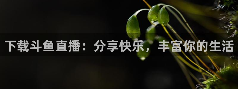 玩球怎么玩：下载斗鱼直播：分享快乐，丰富你的生活
