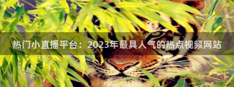 玩球怎么玩