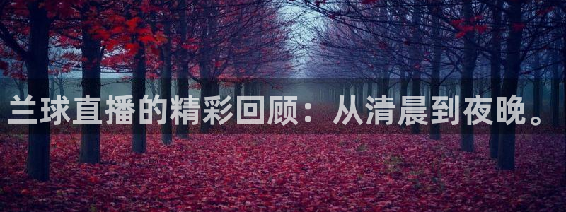 玩球直播jrs直播：兰球直播的精彩回顾：从清晨到夜晚。