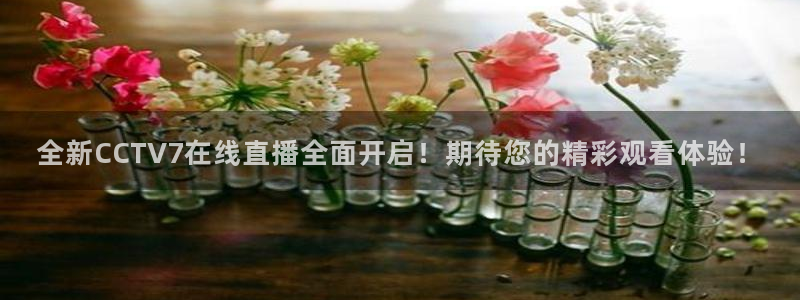 玩球直播nba直播在线直播：全新CCTV7在线直播全面开启！期待您的精彩观看体验！