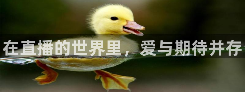 nba直播玩球直播：在直播的世界里，爱与期待并存