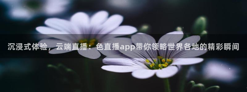 玩球直播官网nba直播：沉浸式体验，云端直播：色直播app带你领略世界各地的精彩瞬间
