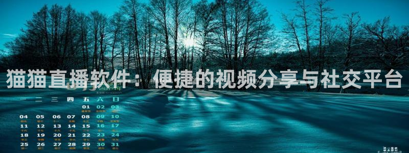 玩球直播nba在线观看免费：猫猫直播软件：便捷的视频分享与社交平台
