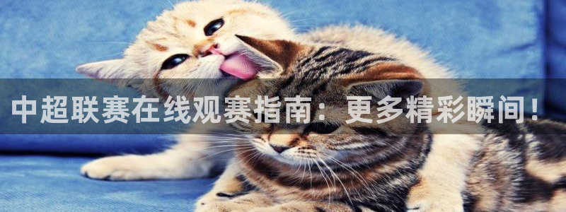玩球直播官网：中超联赛在线观赛指南：更多精彩瞬间！